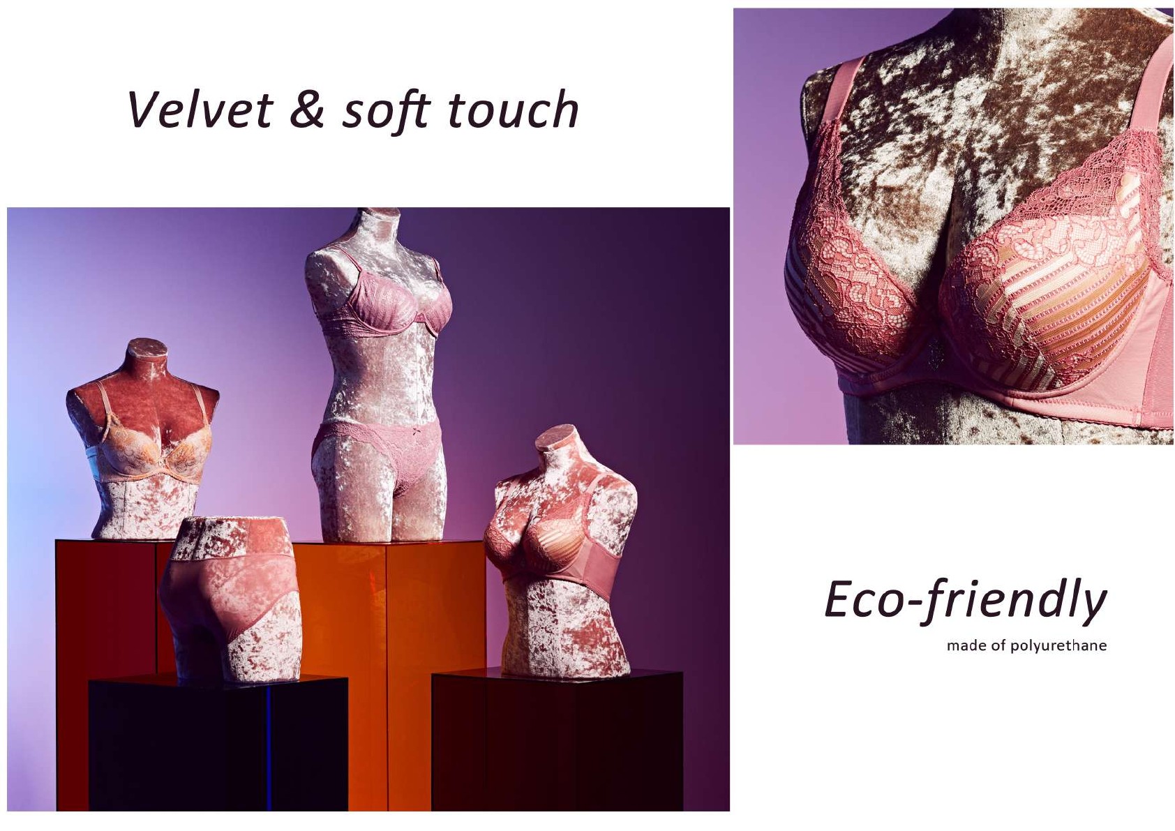 Underwear forms, 2025